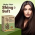 Nisha Naturemate Natural Henna-Based Hair Color 60g - Dark Brown | No Ammonia, Henna Herbs for Vibrant Color