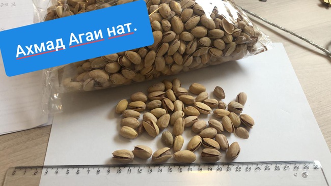 ФИСТАШКА Ахмад Агаи MIX