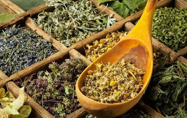 Зелень, лекарственные травы и растения из Узбекистана по низким ценам!