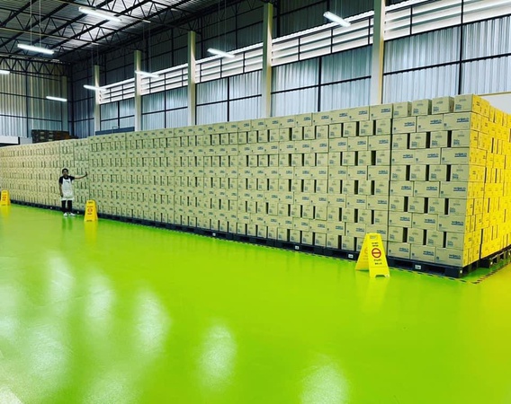 Nitrile / latex gloves