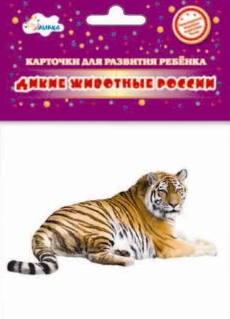 Bebek Gelişim Kartları