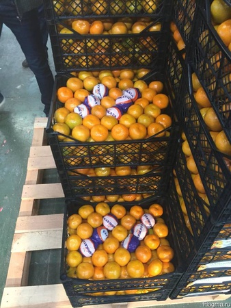 اليوسفي بالجملة