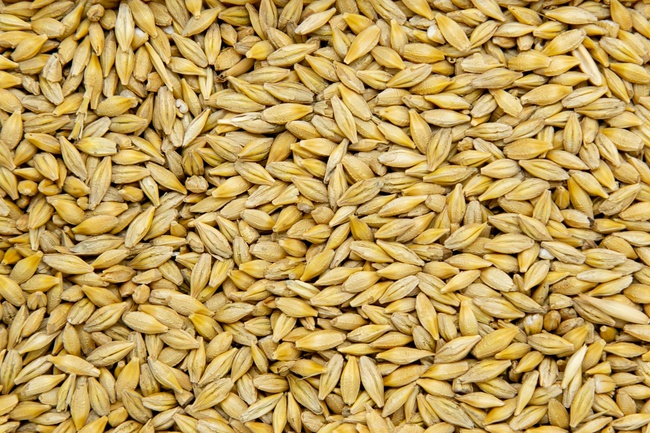 BDT ülkelerinden bakliyat ve ayçiçek yağı ihracatı