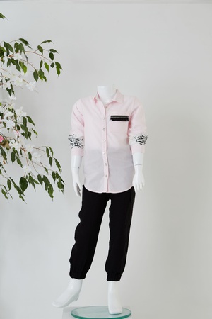 Полосатая рубашка с принтом / Капри