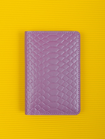 Обложка на паспорт ПТ-51