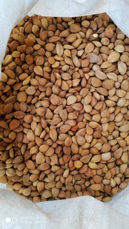 Сухофрукты и орехи.