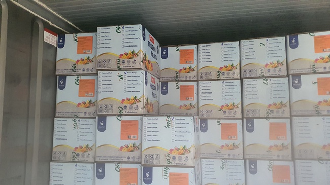 Dondurulmuş Avokado. OLMISH fabrikalarından dondurulmuş meyveler