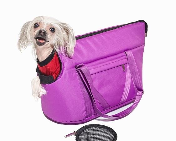 Carriers, sun beds, pet houses