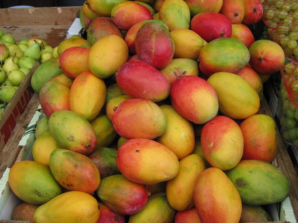 Манго (Mango)