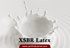 XSBR латекс