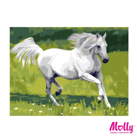 Sayıya göre boyama Yaz alanında