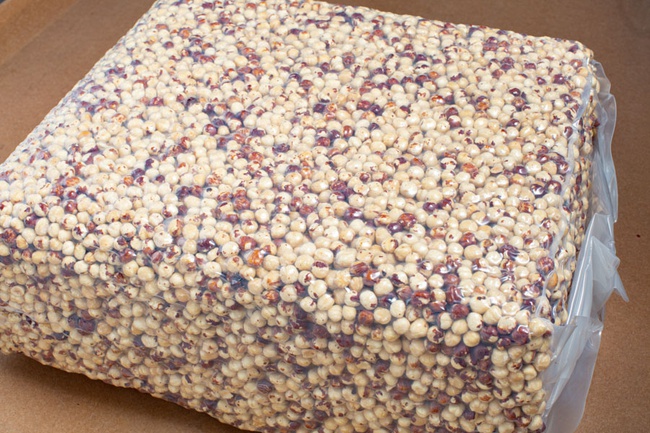 Roasted hazelnuts (15+) - Georgia