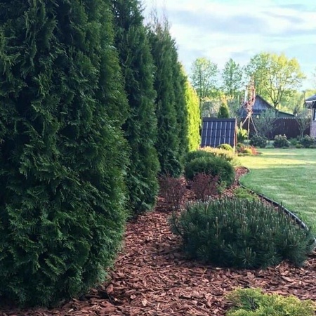 Мульча из коры лиственницы средней фракции 2-6 см