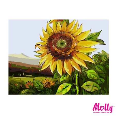 Sayıya göre boya Ayçiçeği çiçeği