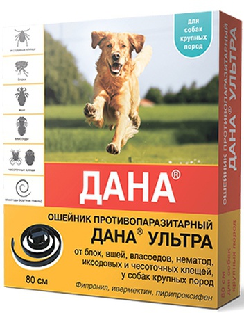 Büyük cins köpekler için YAKA