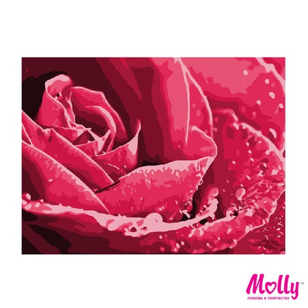 Картина по номерам Капли росы