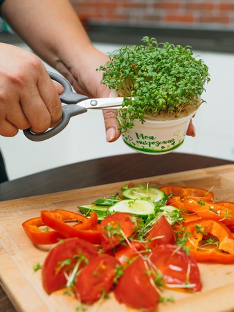 Набор для выращивания "Моя микрозелень"