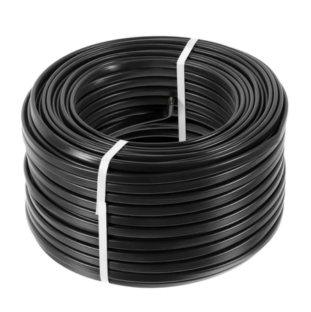 Wholesale of potatoes