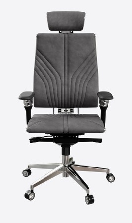 Y 4DF L2-12D - GoyaLE (dark grey)