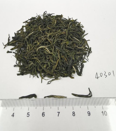 Чанг Шэн-Цюань 2020 зеленый Чай (Маоцзянь) Сверхтонкий № 40301