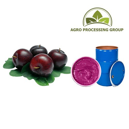 Концентрированное пюре, концентраты овощей и фруктов