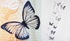 Наклейки 3Д бабочки (черно-белые)