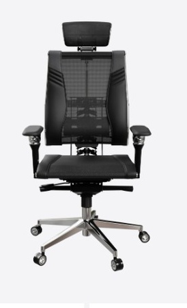 Yoga Spine Triumph L2 (M06)