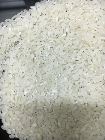 Крупа Рис Регул (среднезерный) ГОСТ