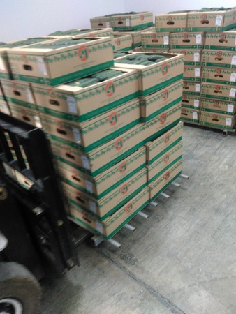 Шипастые тепличные огурцы с комбината Майский