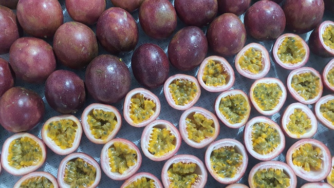 ÇARKIFELEK MEYVESİ Dondurulmuş Toptan Satış. Fabrikadan doğrudan teslimat