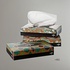 Family Facial Tissue Box Plastic  Mixed Pulp Recycled Pulp Car Refill Tissue OEM Box 13gsm 2ply 20X20cm 100sheets/box 48 boxes per carton
