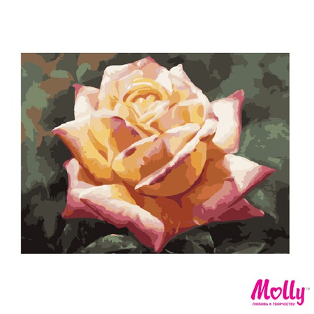 Картина по номерам Красавица