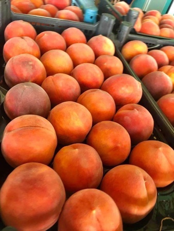 Фрукты, овощи, орехи, шафран