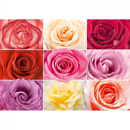 Разноцветное настроение/9 листов