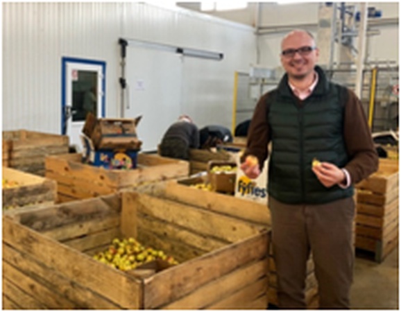 Organik Elma Barları ve Püreleri