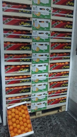 اليوسفي بالجملة