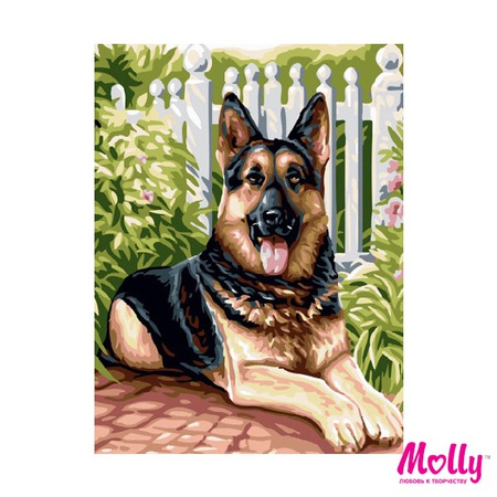 Картина по номерам Немецкая овчарка