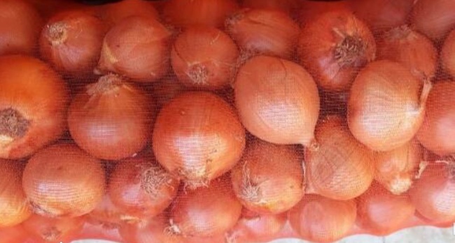 Лук репчатый