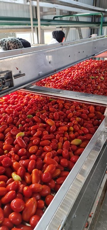 Томатная паста