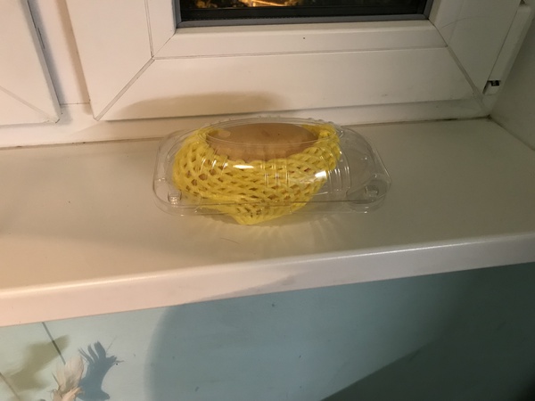 Манго сорт Катчу (Вьетнам)