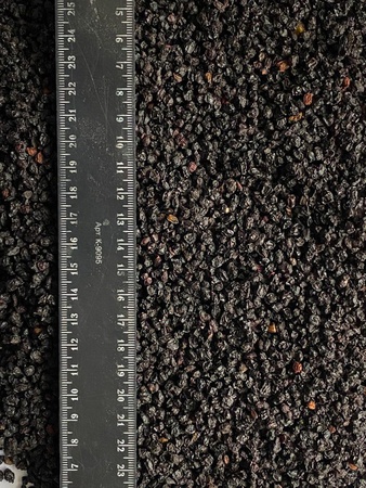 Плоды бузины черной (сушеные)