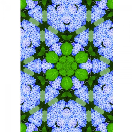 Цветочный калейдоскоп/8 листов