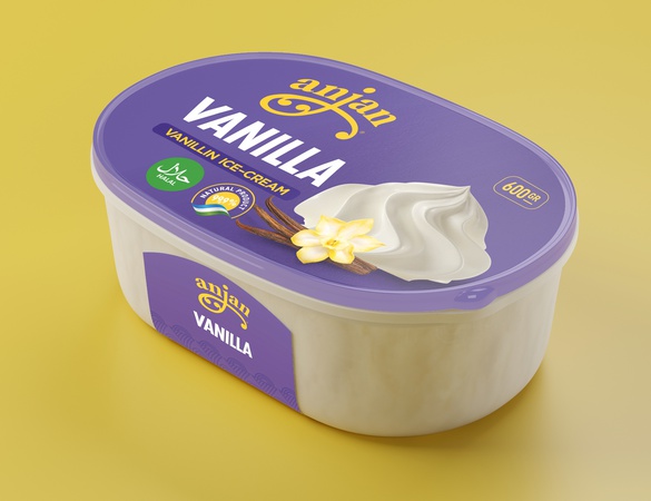 Мороженое 600 грам "Anjan"