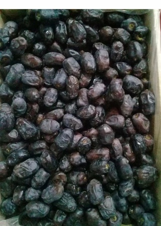 High Quality Mazafati Date