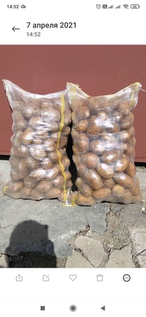 Potatoes