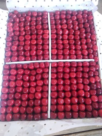 Sebzeler ve Meyveler, kuru meyveler ve baklagiller