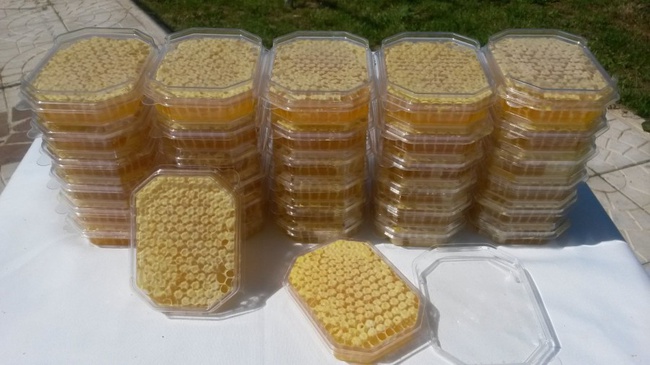 Панский сот 145мм