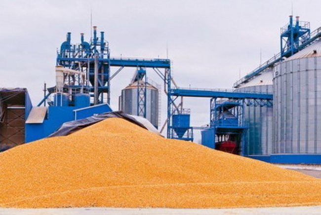 Лен, пшеница, рапс, ячмень, отруби