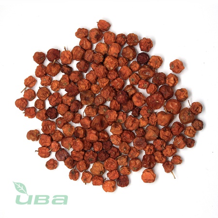 Rowan meyve kırmızı Rusya