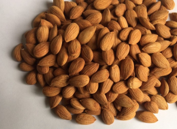 SWEET APRICOT KERNELS